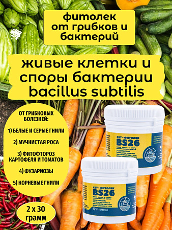 Фунгицид для растений. СБТ-Фитолек BS26 (30гр). Биопрепарат для борьбы с болезнями растений. Набор-2шт